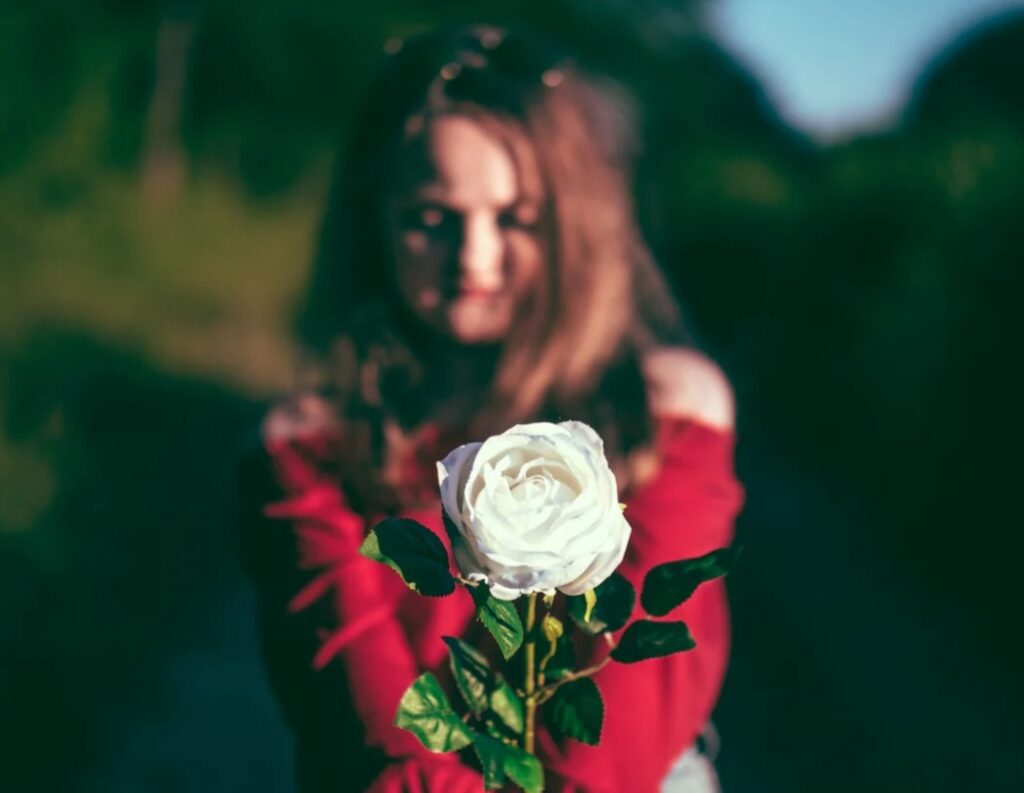 White Rose Picture 