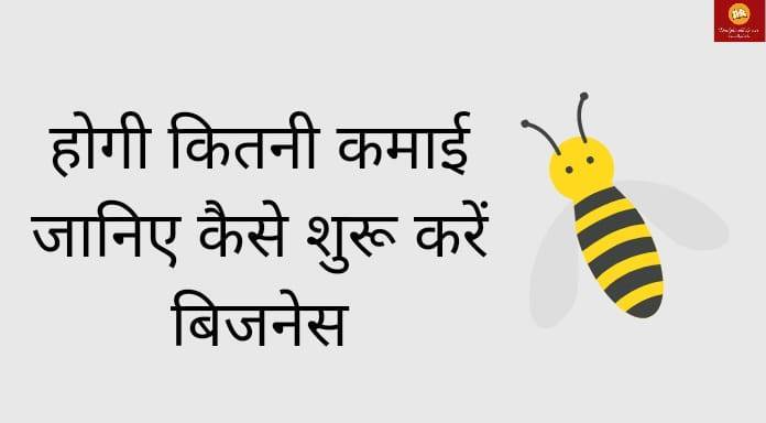 Beekeeping Business Madhumakhi palan